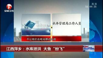 广西梧州新闻爆料网址,聚焦本地热点，解码民生故事